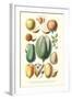 Fruits and Nuts-William Rhind-Framed Art Print