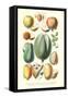 Fruits and Nuts-William Rhind-Framed Stretched Canvas
