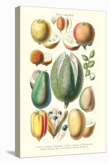 Fruits and Nuts-William Rhind-Stretched Canvas