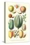 Fruits and Nuts-William Rhind-Stretched Canvas