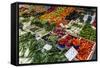 Fruits and Vegetables at Papiniano Market, Milan, Lombardy, Italy, Europe-Yadid Levy-Framed Stretched Canvas