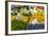 Fruits and Vegetables for Sale at Local Market in Poland.-Curioso Travel Photography-Framed Photographic Print