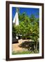 Fruits and Vegetables - Marrakesh - Morocco - North Africa - Africa-Philippe Hugonnard-Framed Photographic Print