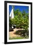 Fruits and Vegetables - Marrakesh - Morocco - North Africa - Africa-Philippe Hugonnard-Framed Photographic Print