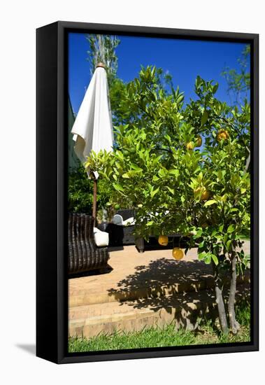 Fruits and Vegetables - Marrakesh - Morocco - North Africa - Africa-Philippe Hugonnard-Framed Stretched Canvas