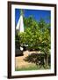 Fruits and Vegetables - Marrakesh - Morocco - North Africa - Africa-Philippe Hugonnard-Framed Photographic Print