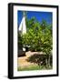 Fruits and Vegetables - Marrakesh - Morocco - North Africa - Africa-Philippe Hugonnard-Framed Photographic Print