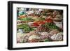 Fruits and Vegetables Stall at a Market in the Old Quarter, Hanoi, Vietnam, Indochina-Yadid Levy-Framed Photographic Print