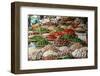 Fruits and Vegetables Stall at a Market in the Old Quarter, Hanoi, Vietnam, Indochina-Yadid Levy-Framed Photographic Print