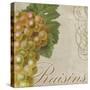 Fruits Classique VI-Sasha-Stretched Canvas