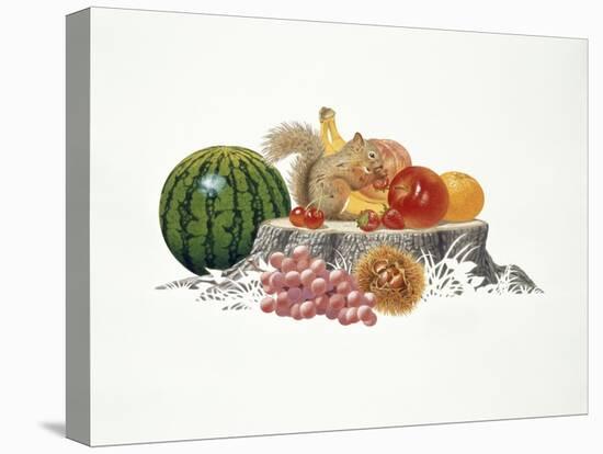 Fruits Fiesta-Joh Naito-Stretched Canvas