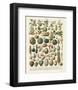 Fruits I-Adolphe Millot-Framed Art Print