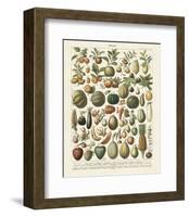 Fruits I-Adolphe Millot-Framed Art Print