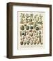 Fruits I-Adolphe Millot-Framed Art Print