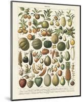 Fruits I-Adolphe Millot-Mounted Art Print