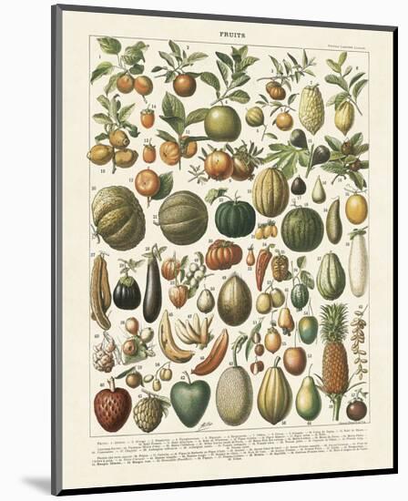 Fruits I-Adolphe Millot-Mounted Art Print