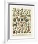 Fruits I-Adolphe Millot-Framed Art Print