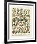 Fruits I-Adolphe Millot-Framed Art Print