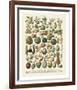 Fruits I-Adolphe Millot-Framed Art Print