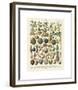 Fruits I-Adolphe Millot-Framed Giclee Print