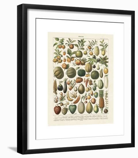 Fruits I-Adolphe Millot-Framed Giclee Print