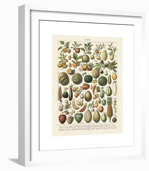 Fruits I-Adolphe Millot-Framed Giclee Print