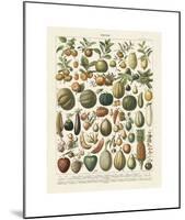 Fruits I-Adolphe Millot-Mounted Giclee Print