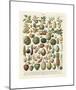 Fruits I-Adolphe Millot-Mounted Giclee Print