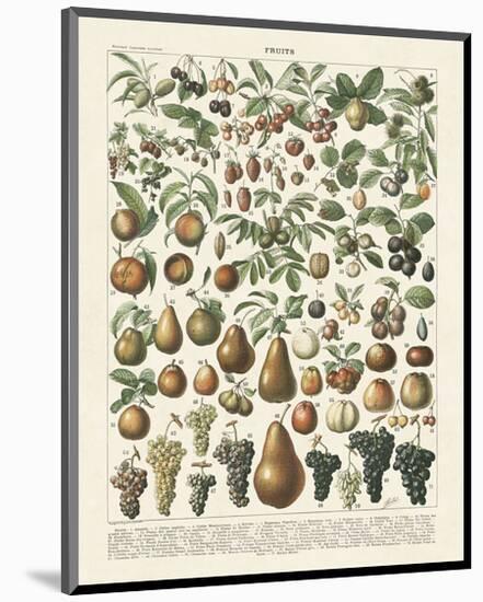 Fruits II-Adolphe Millot-Mounted Art Print