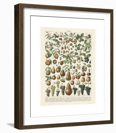 Fruits II-Adolphe Millot-Framed Giclee Print
