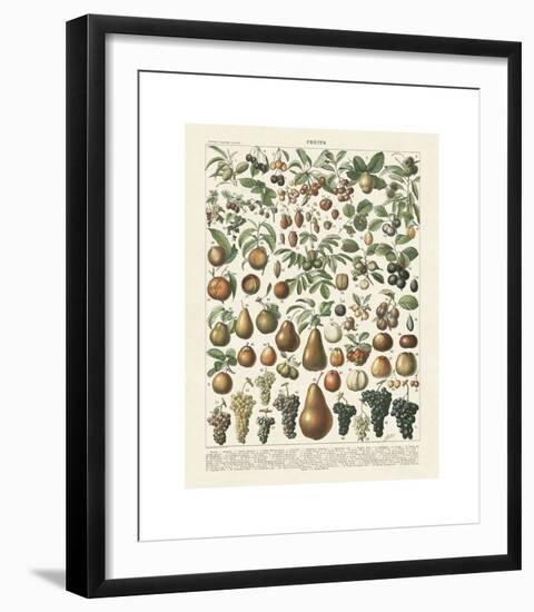 Fruits II-Adolphe Millot-Framed Giclee Print