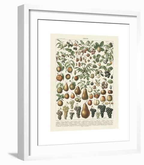 Fruits II-Adolphe Millot-Framed Giclee Print