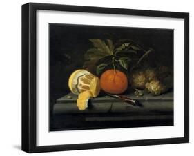 Fruits on a Table Setting of Stone, C1653-1659-Johannes Borman-Framed Giclee Print