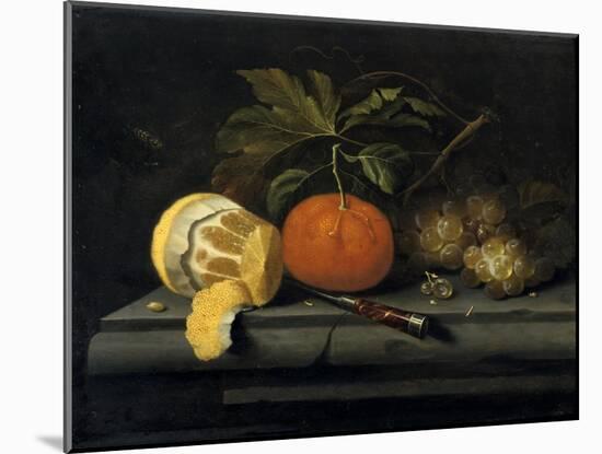 Fruits on a Table Setting of Stone, C1653-1659-Johannes Borman-Mounted Giclee Print