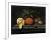 Fruits on a Table Setting of Stone, C1653-1659-Johannes Borman-Framed Giclee Print