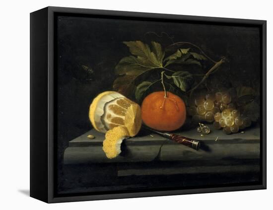 Fruits on a Table Setting of Stone, C1653-1659-Johannes Borman-Framed Stretched Canvas