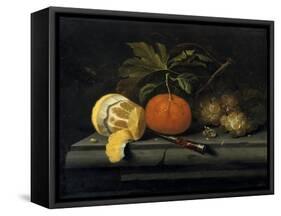 Fruits on a Table Setting of Stone, C1653-1659-Johannes Borman-Framed Stretched Canvas