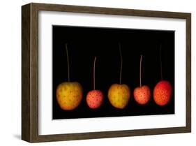Fruits red yellow dogwood Kouza-null-Framed Art Print
