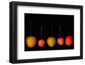 Fruits red yellow dogwood Kouza-null-Framed Art Print