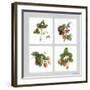 Fruits Rouges-Vincent Jeannerot-Framed Art Print