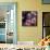 Fruits, Vegetables, Meat, Polutry, and Flowers Sold in Rue Mouffetard Market, Quartier Latin-Alfred Eisenstaedt-Framed Stretched Canvas displayed on a wall