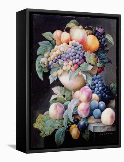 Fruits-Pierre-Joseph Redouté-Framed Stretched Canvas