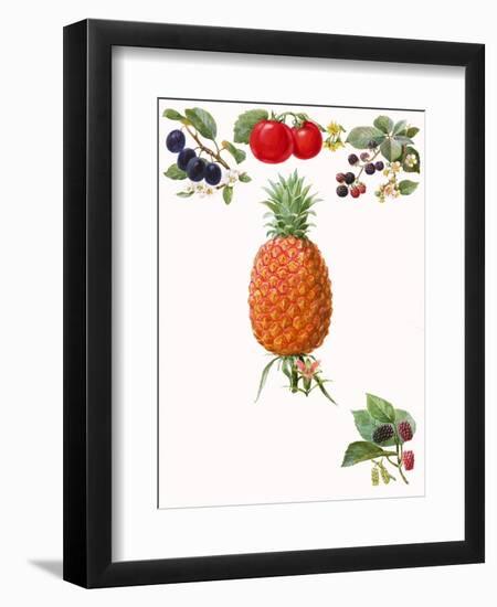 Fruits-English School-Framed Giclee Print