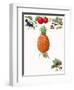 Fruits-English School-Framed Giclee Print