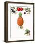 Fruits-English School-Framed Giclee Print