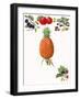 Fruits-English School-Framed Giclee Print