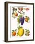 Fruits-English School-Framed Giclee Print