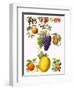 Fruits-English School-Framed Giclee Print