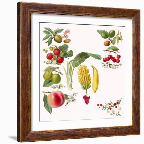 Fruits-English School-Framed Giclee Print