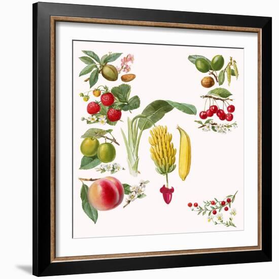 Fruits-English School-Framed Giclee Print